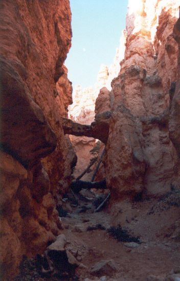 ../Images/096.Bryce Canjon.jpg